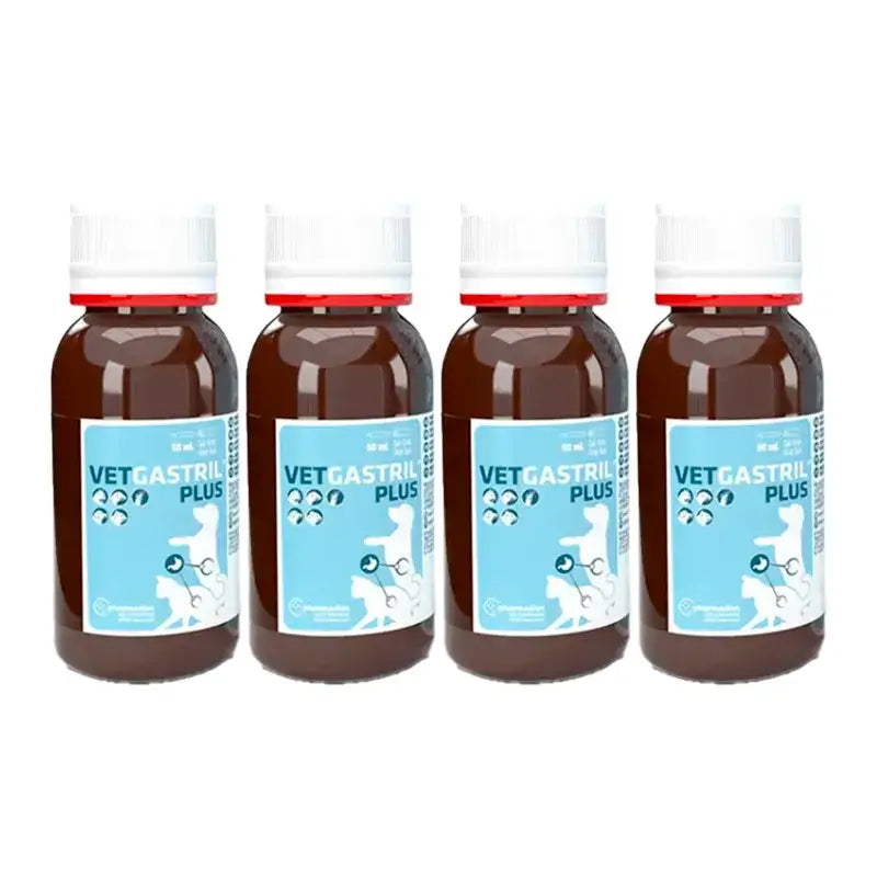 Vetgastril Plus: Γαστρικό προστατευτικό για σκύλους και γάτες, συσκευασία 4 x 50 ml