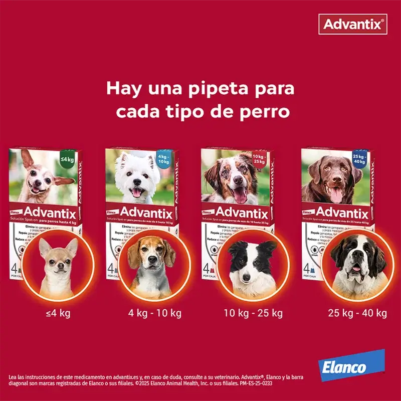 Advantix Αντιπαρασιτικές πιπέτες για σκύλους έως 4 κιλά, 8 τεμάχια × 0,4 ml