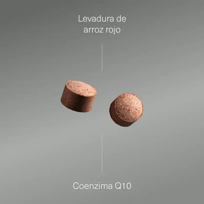 Aldous Bio Ζύμη από κόκκινο ρύζι με συνένζυμο Q10 Aldous, 400 δισκία