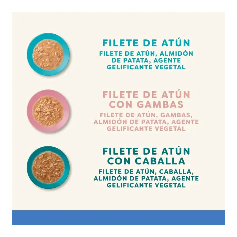 Applaws Cat Κονσέρβα «Επιλογή Ψαριών με Σάλτσα» Multipack, 12X70Gr