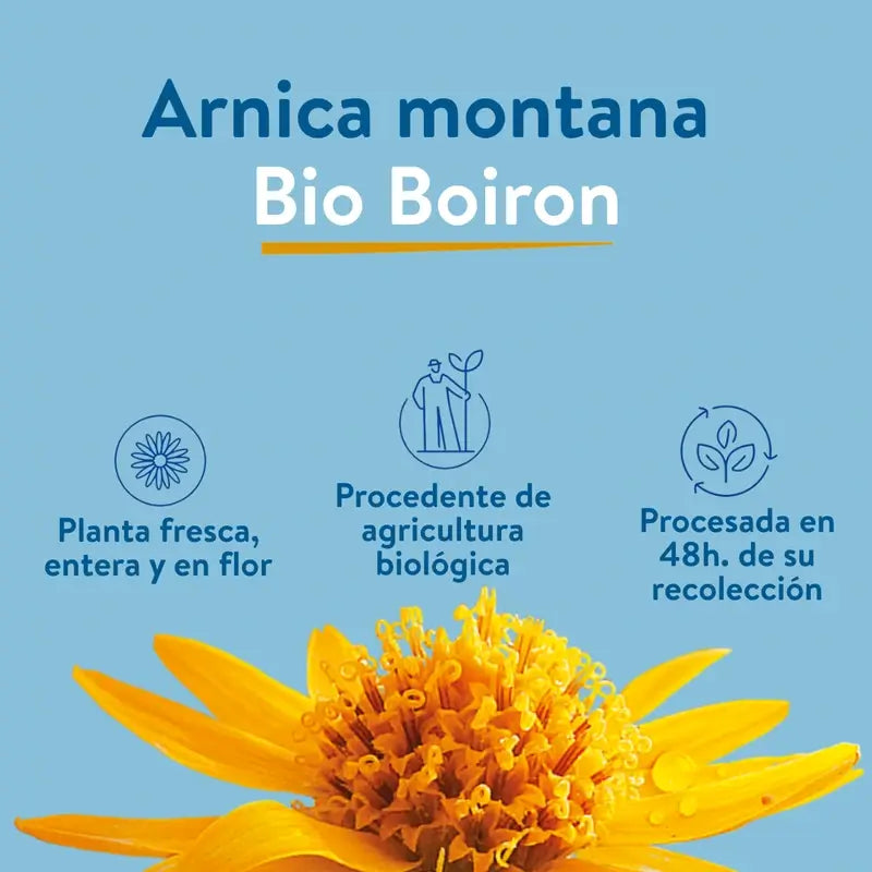 Arnicalia Roll-On με καταπραϋντική δράση και αίσθηση δροσιάς, 45 g