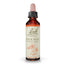 Bach Rock Rose 20 ml