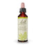 Bach White Chestnut 20 ml
