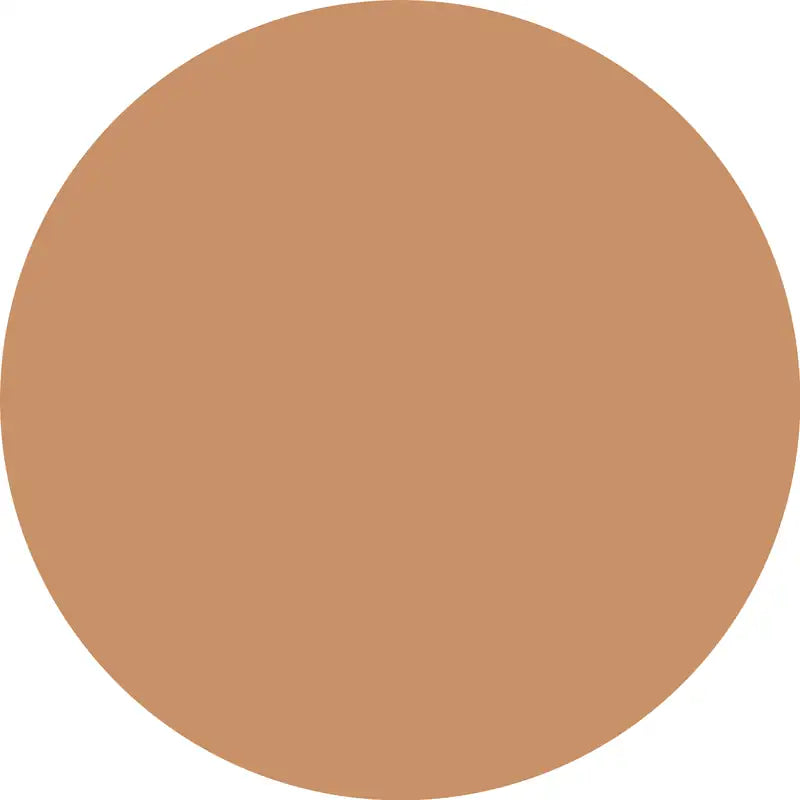 Catrice Βάση μακιγιάζ Skin Like 048N, 30 ml