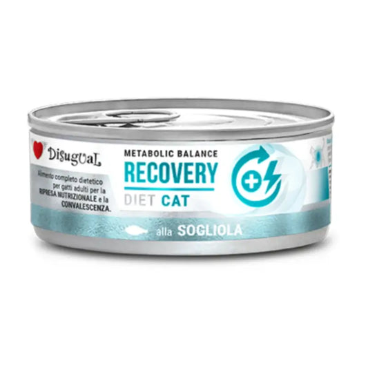 Disugual Diet Cat Recovery Γλώσσα, 12x85 
