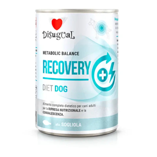 Disugual Diet Dog Recovery Λεγούδο, 6x400 