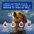 Douxo Skin & Coat Spa Σαμπουάν για τον έλεγχο της τριχόπτωσης σε σκύλους, 250 ml