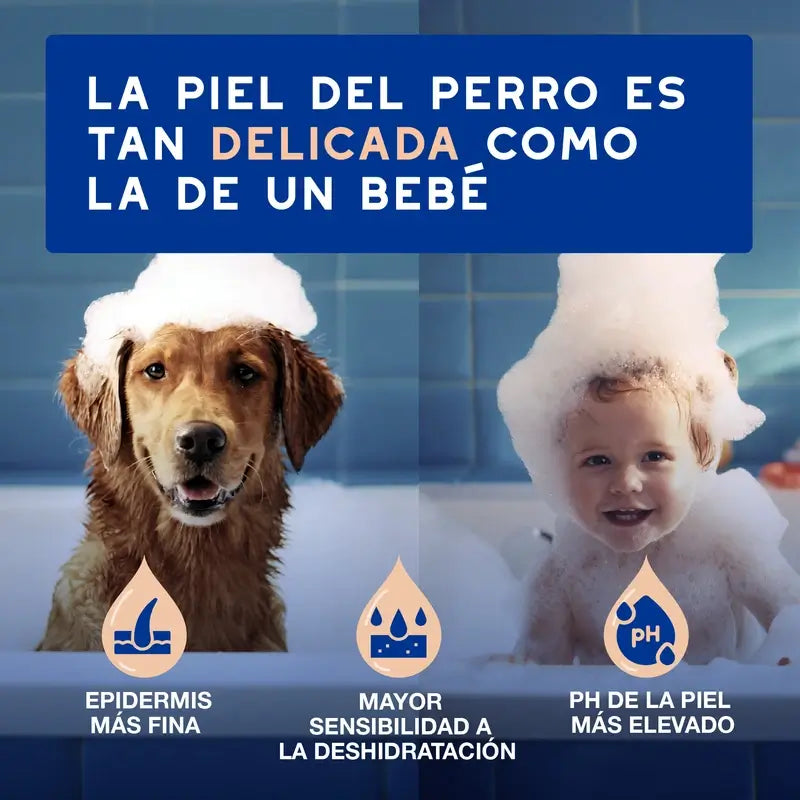 Douxo Skin & Coat Spa Σαμπουάν για τον έλεγχο της τριχόπτωσης σε σκύλους, 250 ml