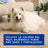Douxo Skin & Coat Spa Σαμπουάν για τον έλεγχο της τριχόπτωσης σε σκύλους, 250 ml