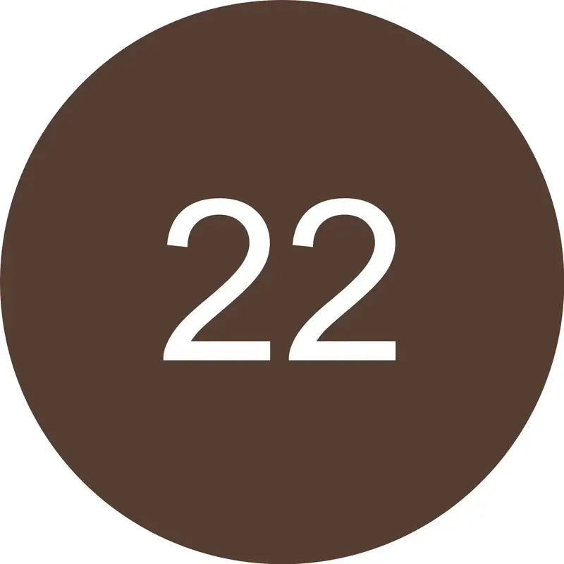 Essence Μολύβι χειλιών 8H Matte Comfort 22, 0,3 g