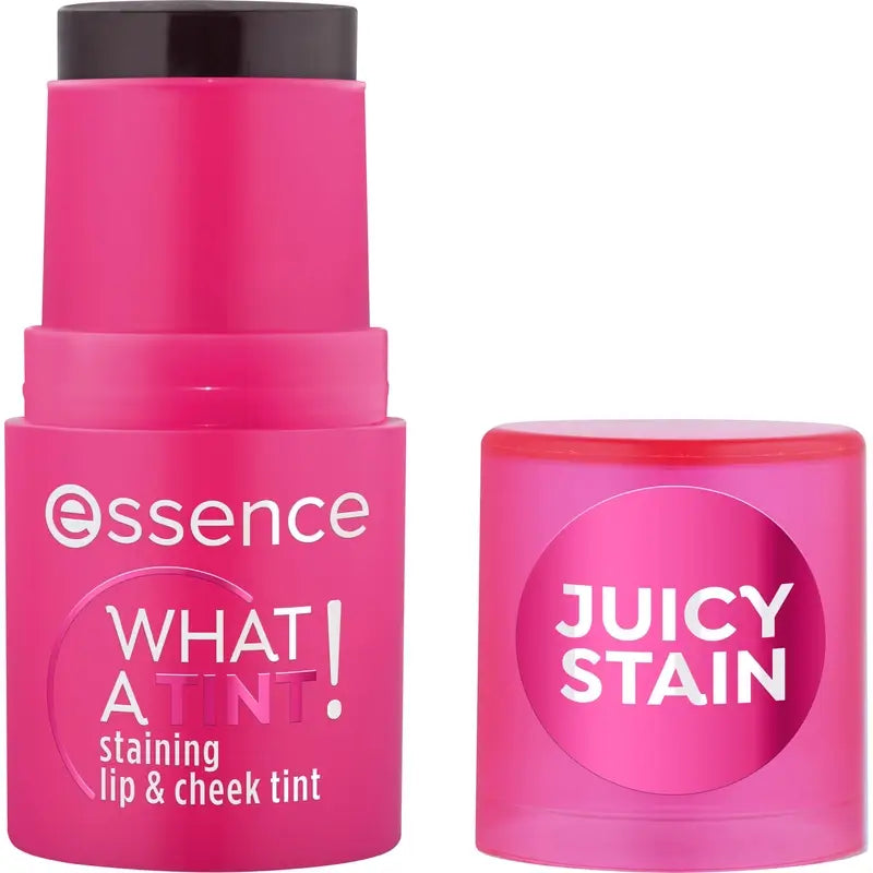 Essence Κραγιόν και Ρουζ What A Tint! 10, 5 γρ.