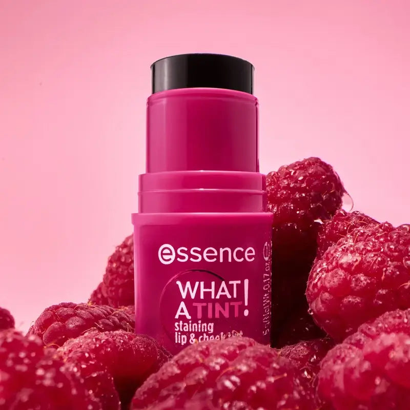 Essence Κραγιόν και Ρουζ What A Tint! 10, 5 γρ.