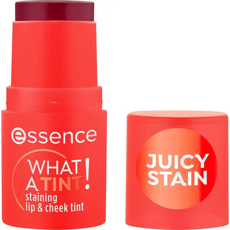 Essence Κραγιόν και Ρουζ What A Tint! 20, 5 γρ.