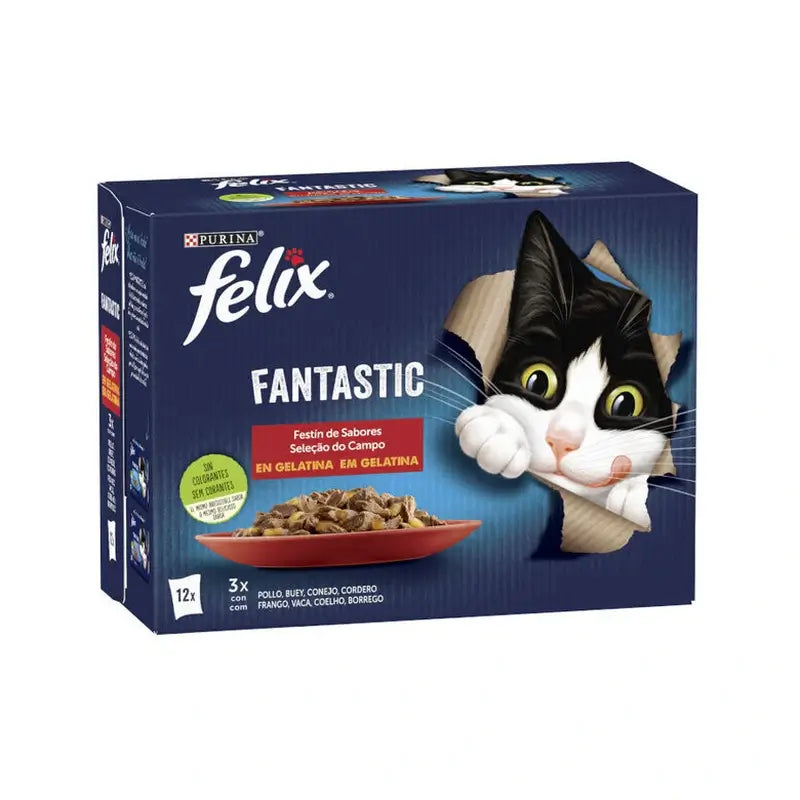 Felix Fantastic Carnes Ζελέ 4x24x85 γραμμάρια