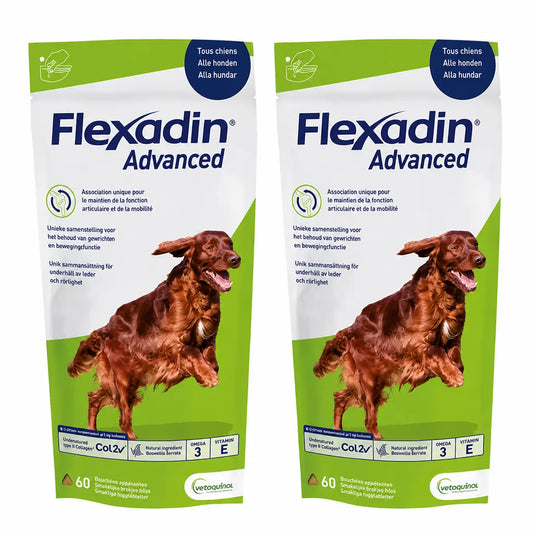 Flexadin Advance Χονδροπροστατευτικό για σκύλους, 2X60 δισκία