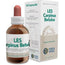 Forza Vitale Les Carpinus Betullus Carpino 50Ml.