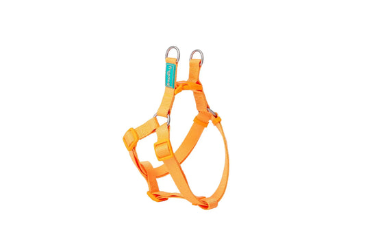 Freedog Ζώνη από νάιλον Basic Τύπου Α Μαύρη, 10 mm 20/36 cm