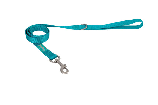 Freedog Λουρί από νάιλον Basic Τυρκουάζ, 10 mm 120 cm