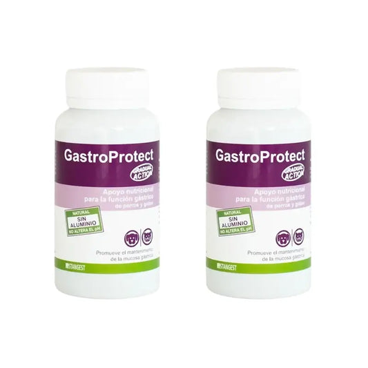 Gastroprotect Stangest, 2×30 δισκία