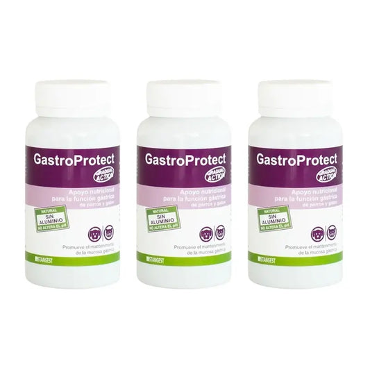 Gastroprotect Stangest, 3X30 δισκία