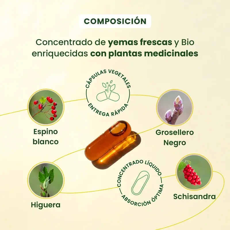 Herbalgem Gemmocaps Stress Protect Relax, 30 κάψουλες