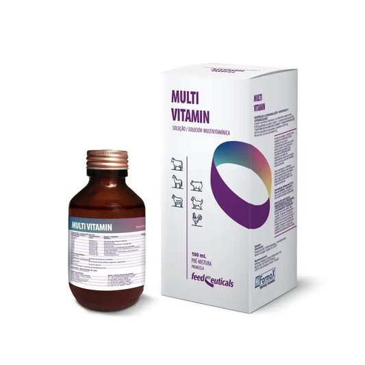 Hifarmax Multi Vitamin 100 χιλιοστόλιτρα
