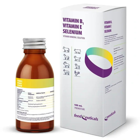 Hifarmax Βιταμίνη Β1-Ε-Σελήνιο 100 ml