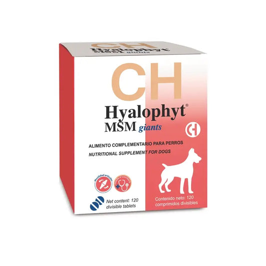 Chemical Hyalophyt MSM Giants, 120 κάψουλες 
