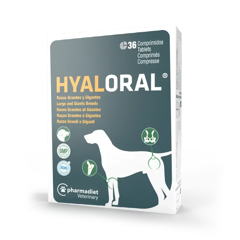 Hyaloral για σκύλους μεγάλων και γιγαντιαίων φυλών, 36 δισκία