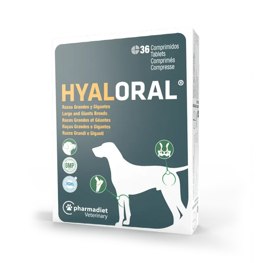 Hyaloral για σκύλους μεγάλων και γιγαντιαίων φυλών, 36 δισκία