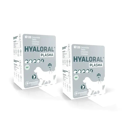 Hyaloral Plasma 120 δισκία, συσκευασία των 2