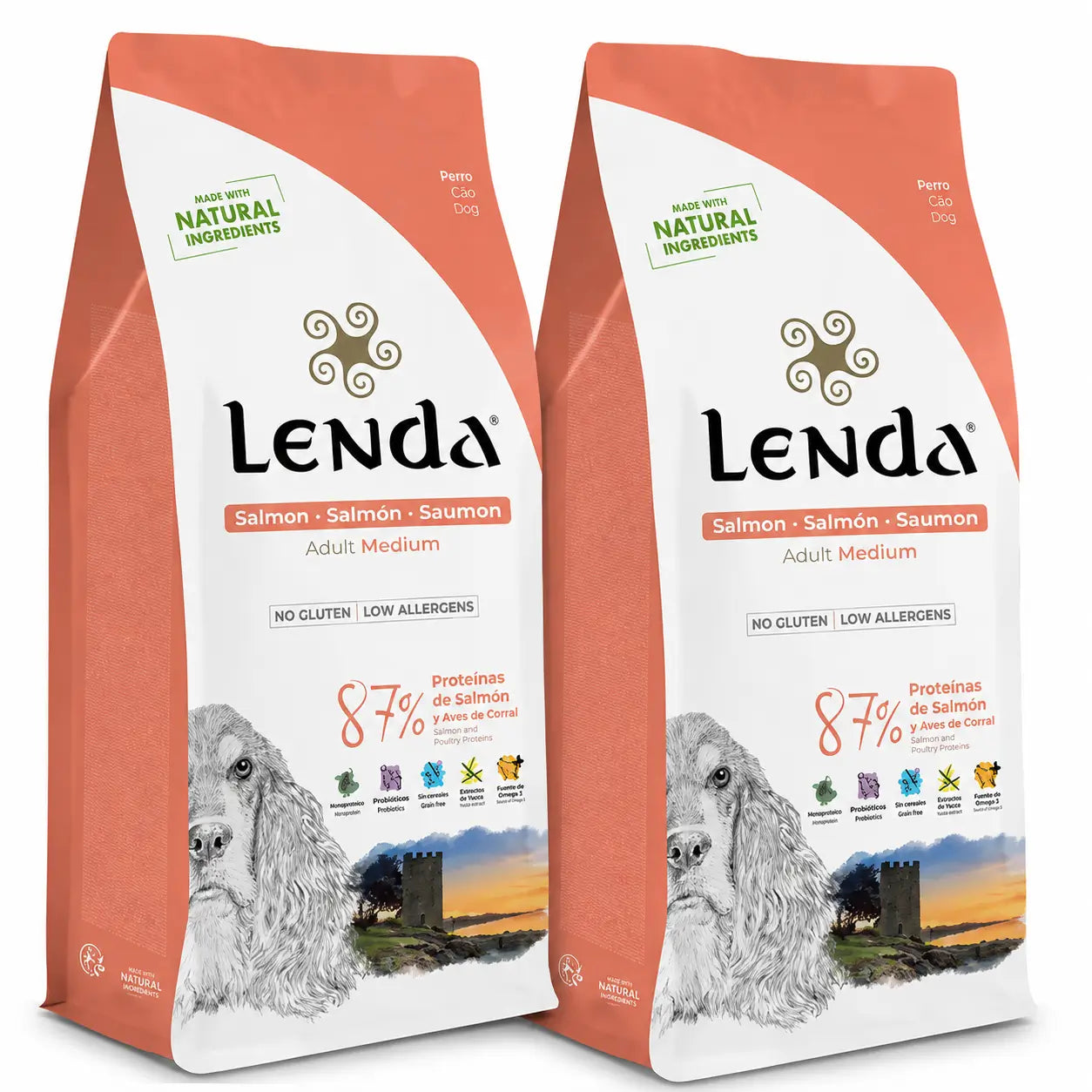 Lenda για ενήλικους σκύλους με γεύση σολομού, 2 × 2 kg