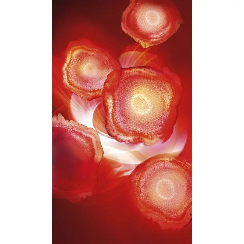 L'Oréal Paris Revitalift Κρέμα Ημέρας «Red Energizing» - Με κόκκινο τζίνσενγκ - 50 ml