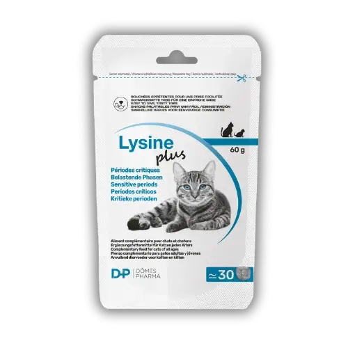 Lysine Plus 30 σνακ των 2 γρ. 