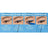 Maybelline New York Hyper Precise Eyeliner – Ακριβές, μακράς διάρκειας, αδιάβροχο, απόχρωση Parrot Blue