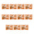 Nature's Variety Mini Flowpack, 100 γρ., συσκευασία των 11