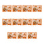 Nature's Variety Mini Flowpack, 100 γρ., συσκευασία των 11