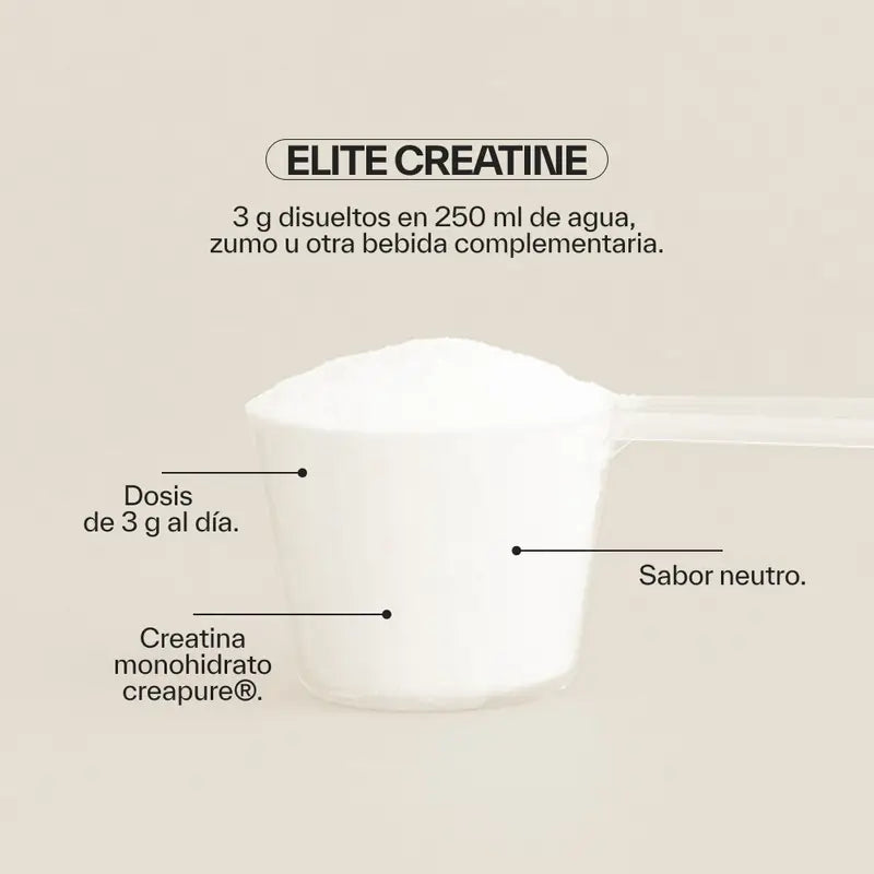 Ndl Pro-Health Elite Κρεατίνη Creapure, 300 g