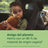 Philips Avent 2 πιπίλες ultra soft +18 μηνών, ουδέτερο χρώμα
