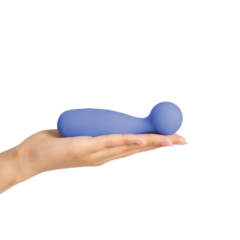 Plusone Personal Massager, 1 