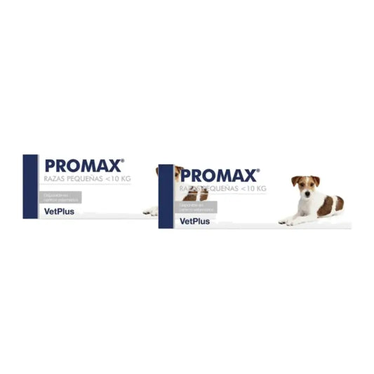 Promax Pack 2 x 9 ml, συμπλήρωμα κατά της διάρροιας για σκύλους μικρών φυλών