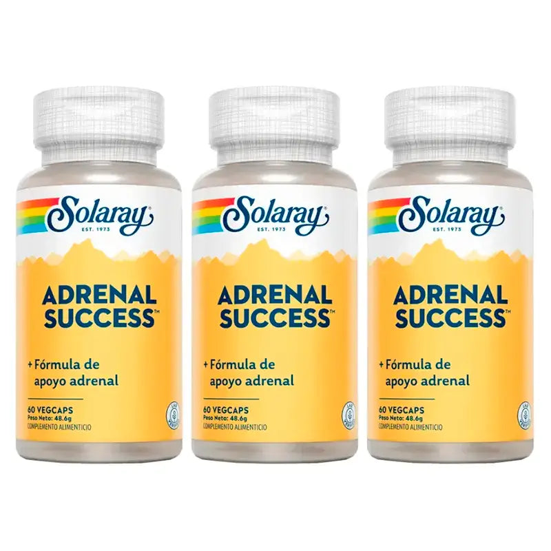 Solaray Adrenal Success Συμπλήρωμα διατροφής, συσκευασία 3 x 60 κάψουλες