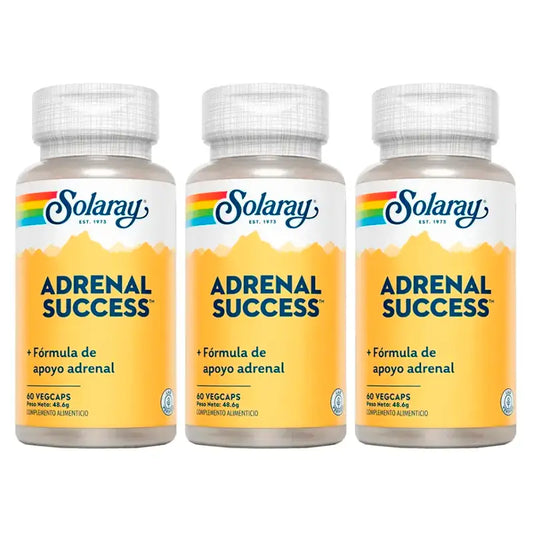 Solaray Adrenal Success Συμπλήρωμα διατροφής, συσκευασία 3 x 60 κάψουλες