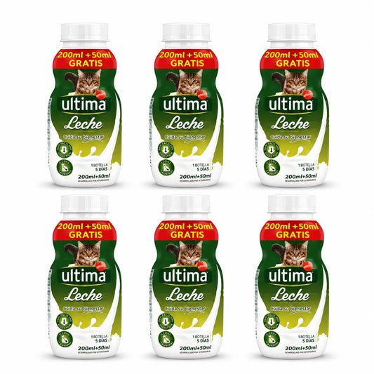 Ultima Γάλα για γάτες και γατάκια 6 x 250 ml