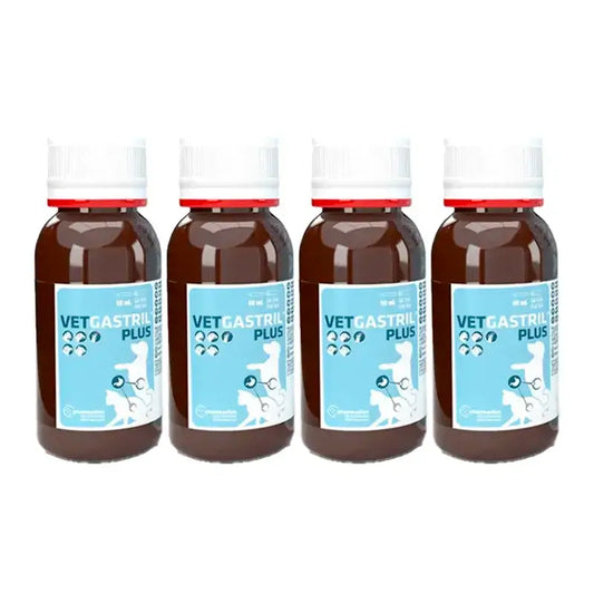 Vetgastril Plus: Γαστρικό προστατευτικό για σκύλους και γάτες, συσκευασία 4 x 50 ml