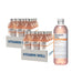 Vitamin Well Pack Αντιοξειδωτικό Ροδάκινο, 24 τεμ. × 500 ml