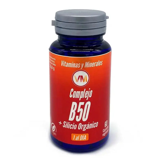 Ynsadiet Σύμπλεγμα B50 + Πυρίτιο 60 κάψουλες.